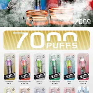 🔋喜貝HEBAT拋棄式7000口🔋